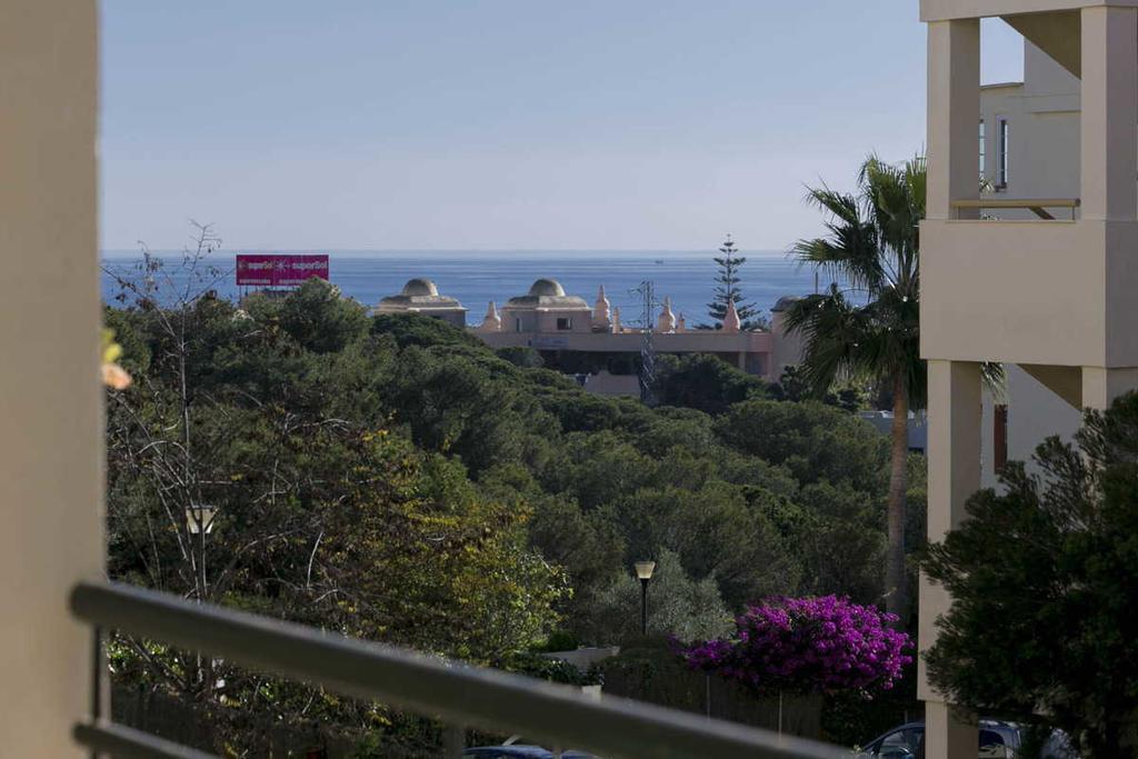 Aguila Real Apartment